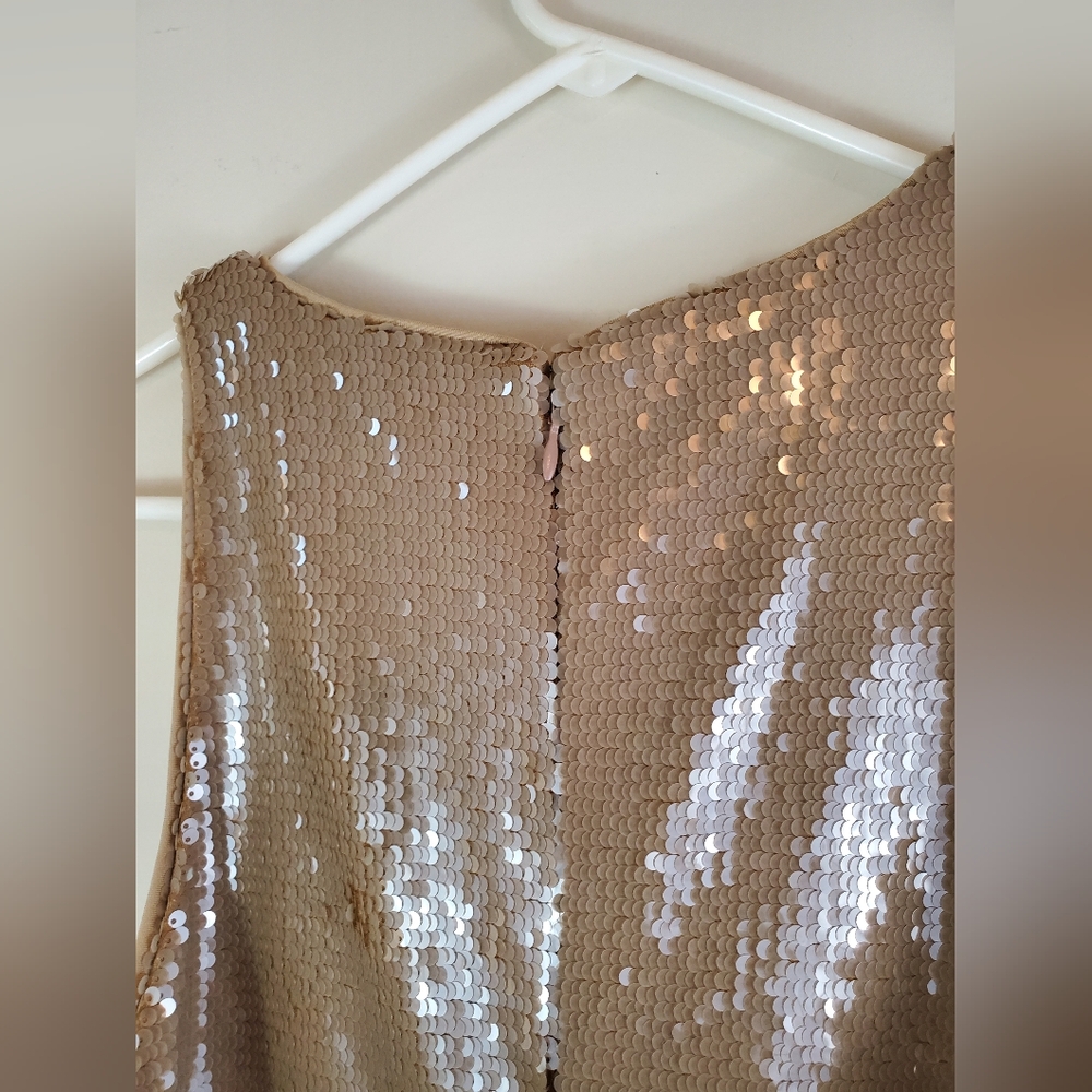 Banana Republic Beige Sequin Dress Stretch Maxi Dress Sz M Column Sexy Cocktail - Picture 6 of 12